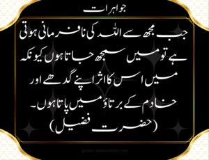 Golden Words (Best Urdu Quotes and Islamic Quotes) with Images