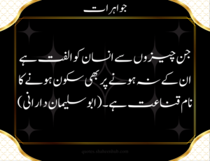 friendship quotes in urdu, hazrat ali quotes in urdu, islamic quotes in urdu images, 