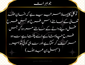 friendship quotes in english, friendship quotes in urdu, hazrat ali quotes in urdu, islamic quotes in urdu images, 