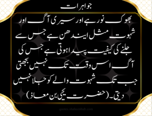 islamic quotes in urdu wallpapers, islamic quotes in urdu text, islamic quotes in urdu hazrat ali, 
