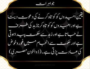 sad quotes about life in urdu, motivational quotes in urdu, best islamic quotes in urdu 