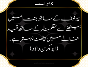 life quotes in urdu, best quotes about life in urdu, quotes in urdu about life reality 