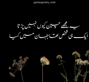 love poetry in urdu text, john elia love poetry