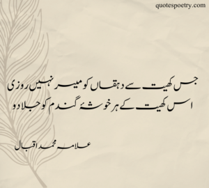 allama iqbal poetry in urdu for pakistan