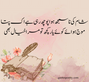 love funny poetry in urdu, muhabbat poetry in urdu, Parveen Shakir
