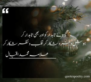 famous allama iqbal poetry in urdu | allama iqbal poetry in urdu love
