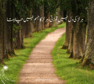 Urdu captions for instagram