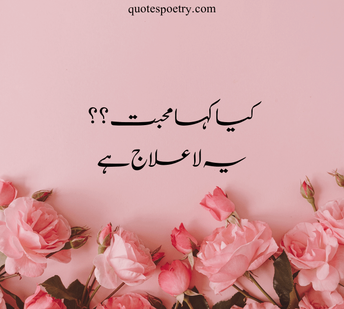 Best Urdu Poetry | love quotes in urdu