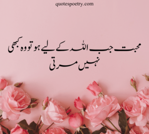 Allah love quotes in urdu
