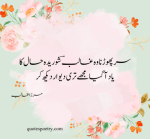 mirza ghalib poetry in urdu text, mirza ghalib