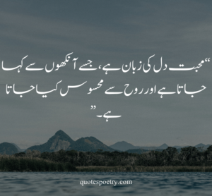 hazrat ali quotes about love