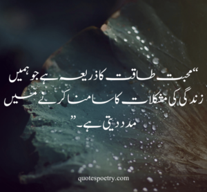 hazrat ali k aqwal, Beautiful quotes of hazrat ali