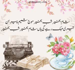 jaun elia love poetry, jaun elia sad poetry in urdu