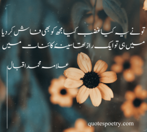 urdu poetry on beauty