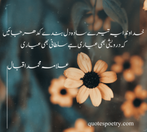 iqbal poetry in urdu 2 lines