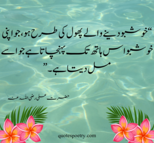 hazrat ali poetry, Best urdu quotes