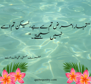 hazrat ali k aqwal zareen in urdu